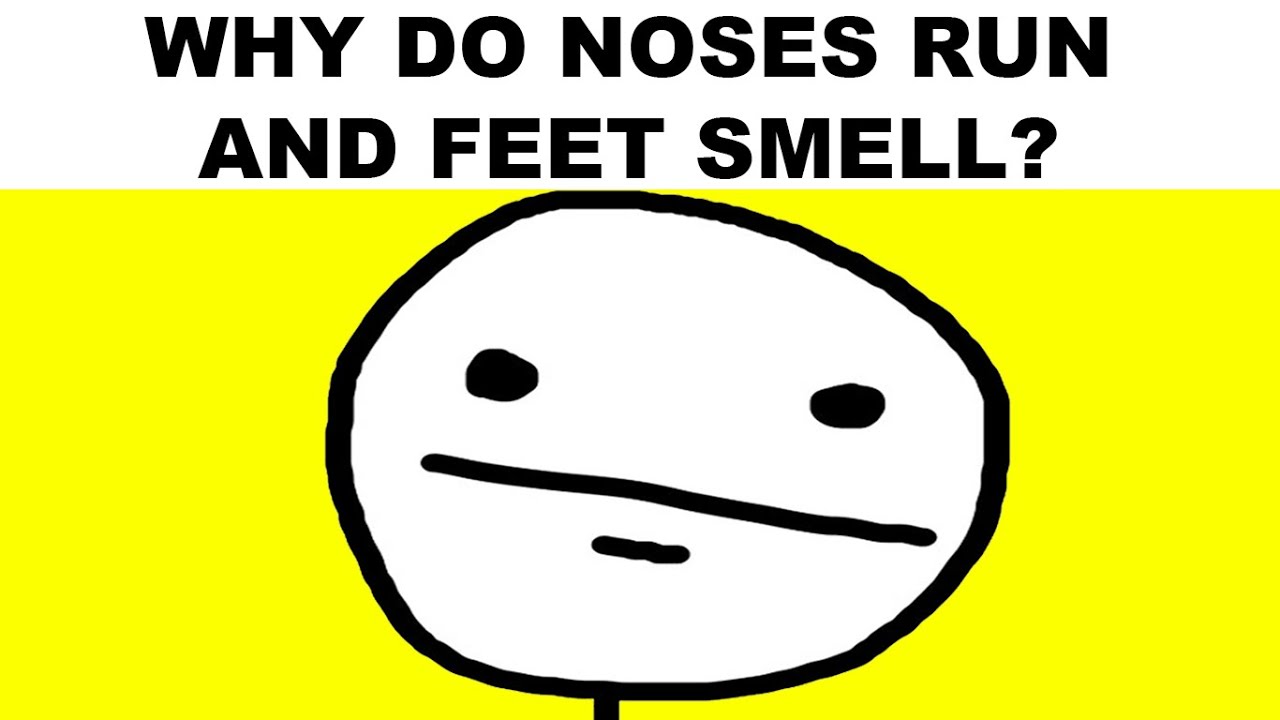 Memes That Make No Sense