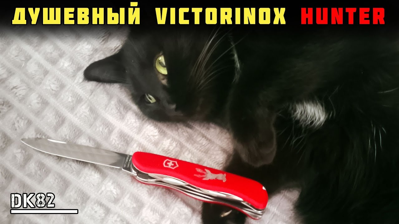 Складной нож для охоты? Victorinox Hunter 0.8573 Обзор ножа (первый взгляд)