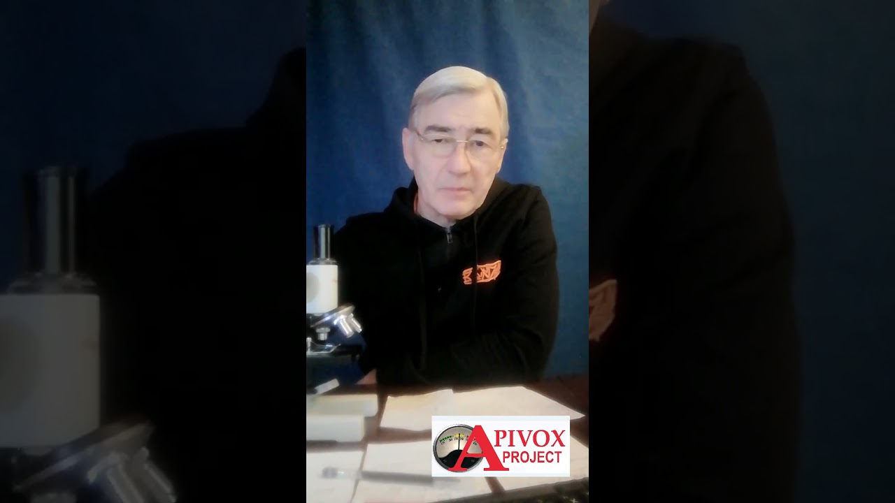 КАВКАЗСКИЕ ПЧЕЛЫ И ИХ ВОЗМОЖНОЕ ИСПОЛЬЗОВАНИЕ  