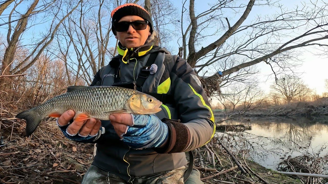 Zimny Poranek, Gorąca Akcja! Spinning UL, Tanta i Ryby z Rzeki!