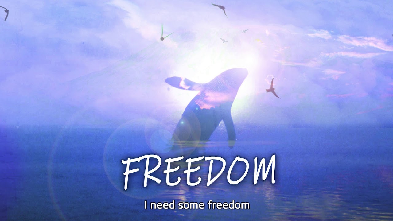 【红花会】FREEDOM | 贝贝 x Mai x 啊之 （Lyric Video）