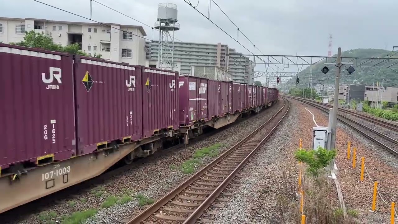6月　撮影記録