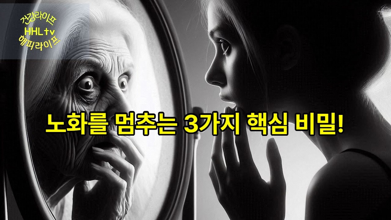 노화를 막는 노화예방 핵심3가지