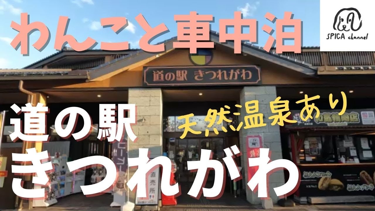 【わんこと車中泊】温泉のある道の駅へ／道の駅きつれがわで車中泊☆