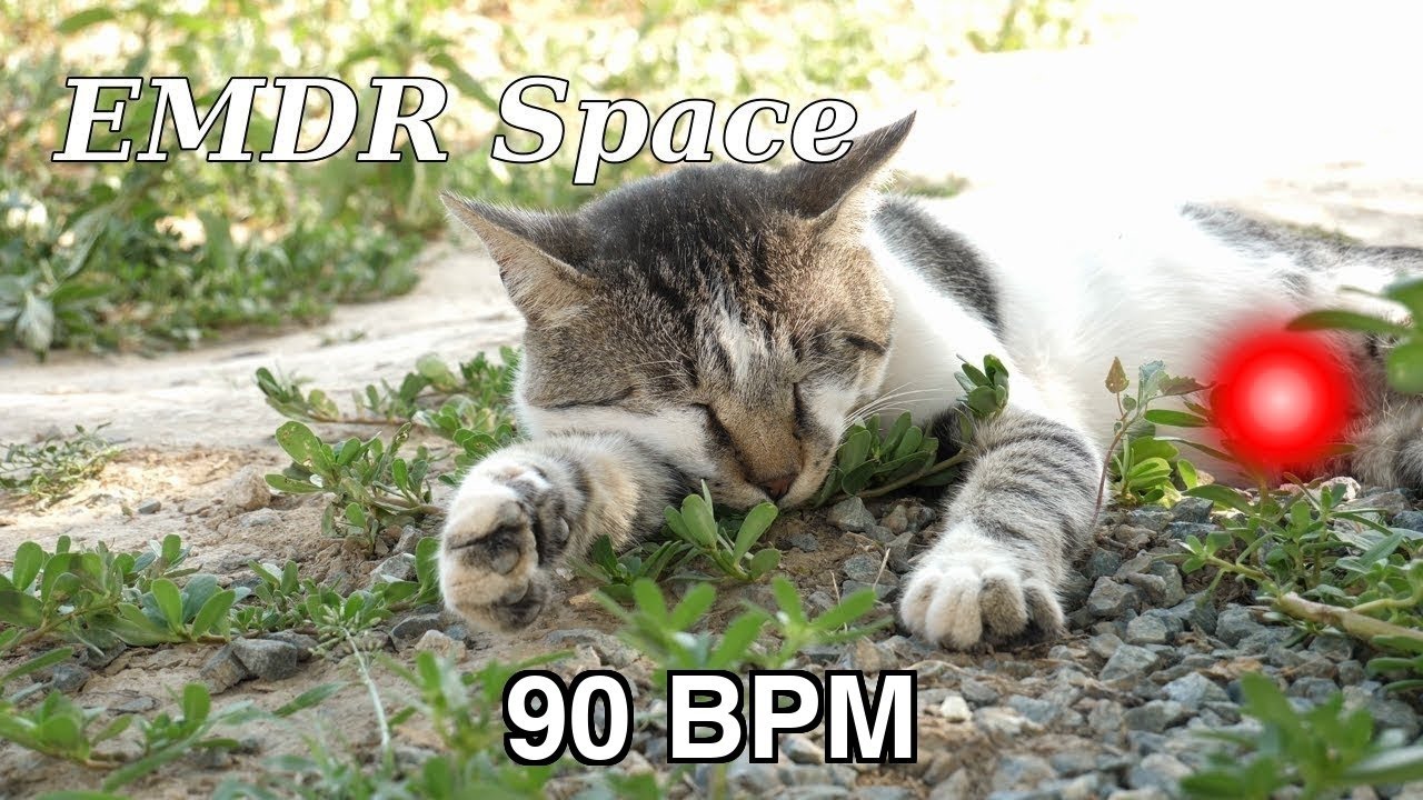 EMDR Bilateral Stimulation – 90 BPM | Cat Purring 4K | Sounds for PTSD & Anxiety