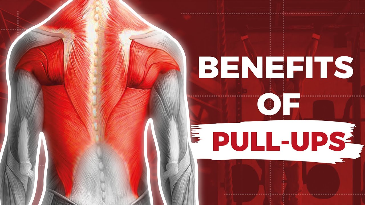 7 BENEFITS of DAILY Pull Ups! #fitness #pullups #gym