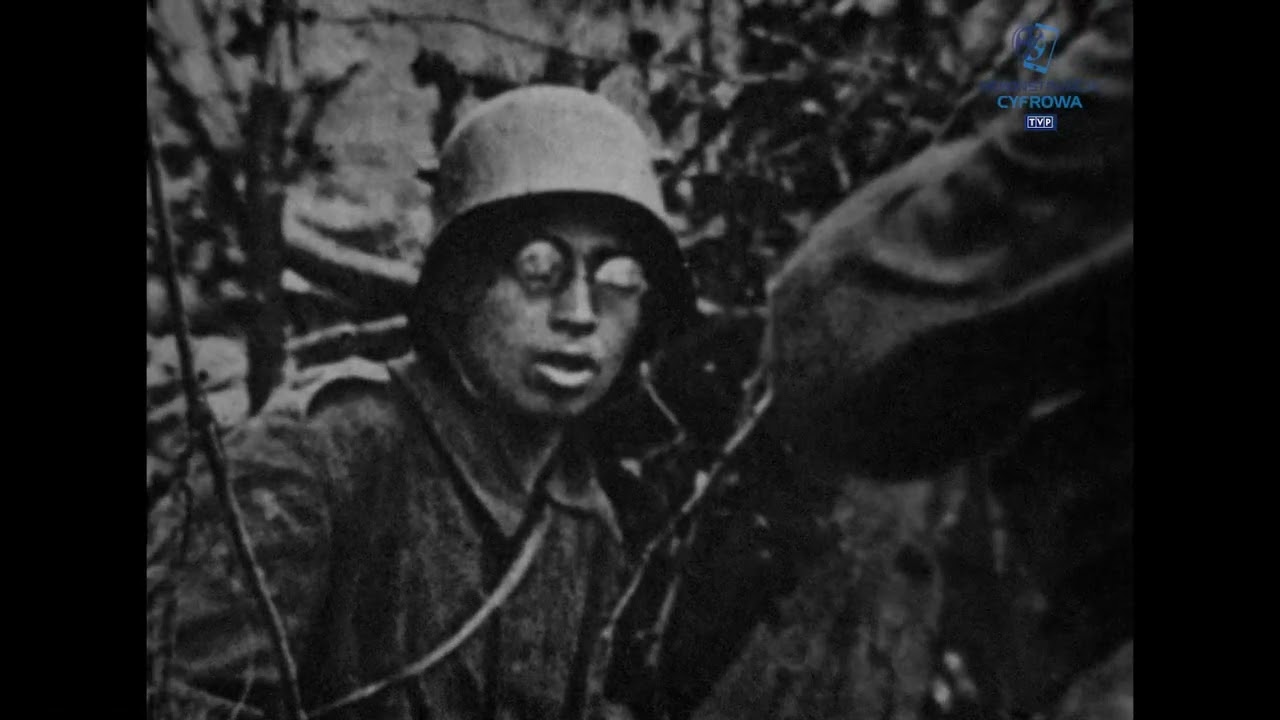 Historia wsp&oacute;łczesna - 