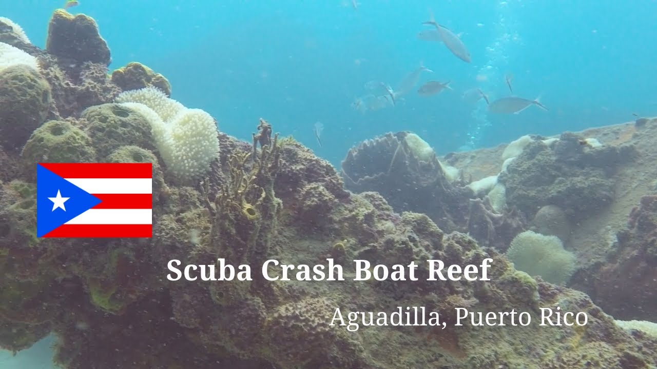 Scuba Dive Crash Boat Reef in Aguadilla, Puerto Rico