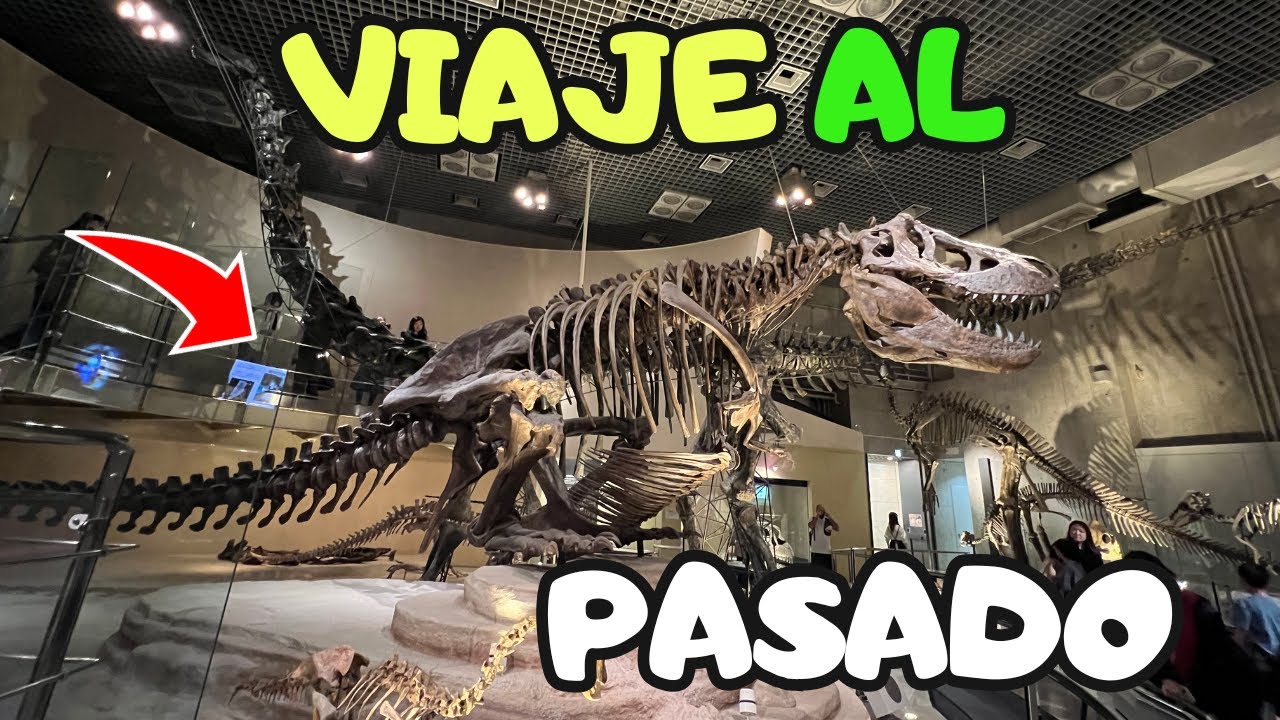 Paseo cultural en Tokio | Museo Nacional de Tokio y el Museo Nacional de la Naturaleza y la ciencia
