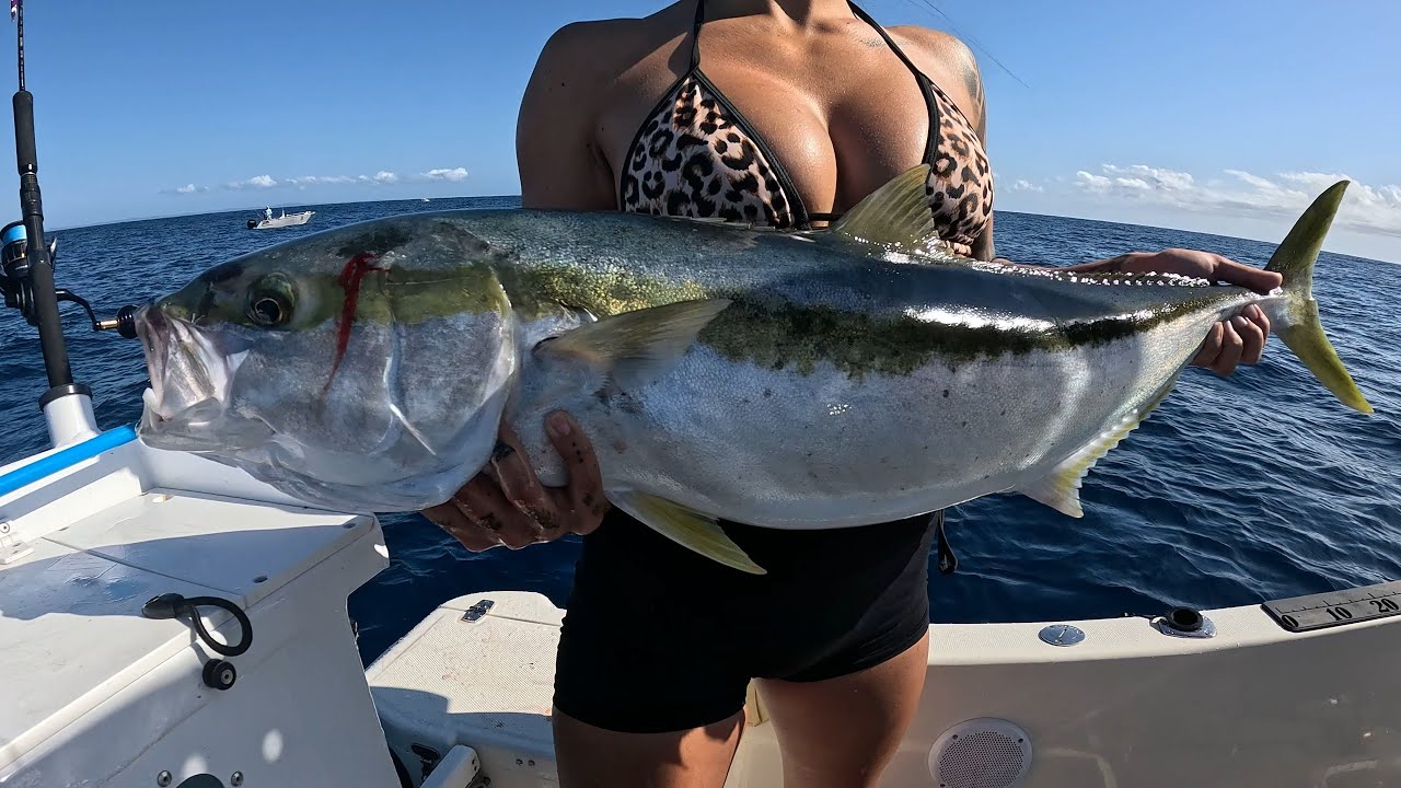 Jigging for Kingfish & Amberjack off the Goldcoast