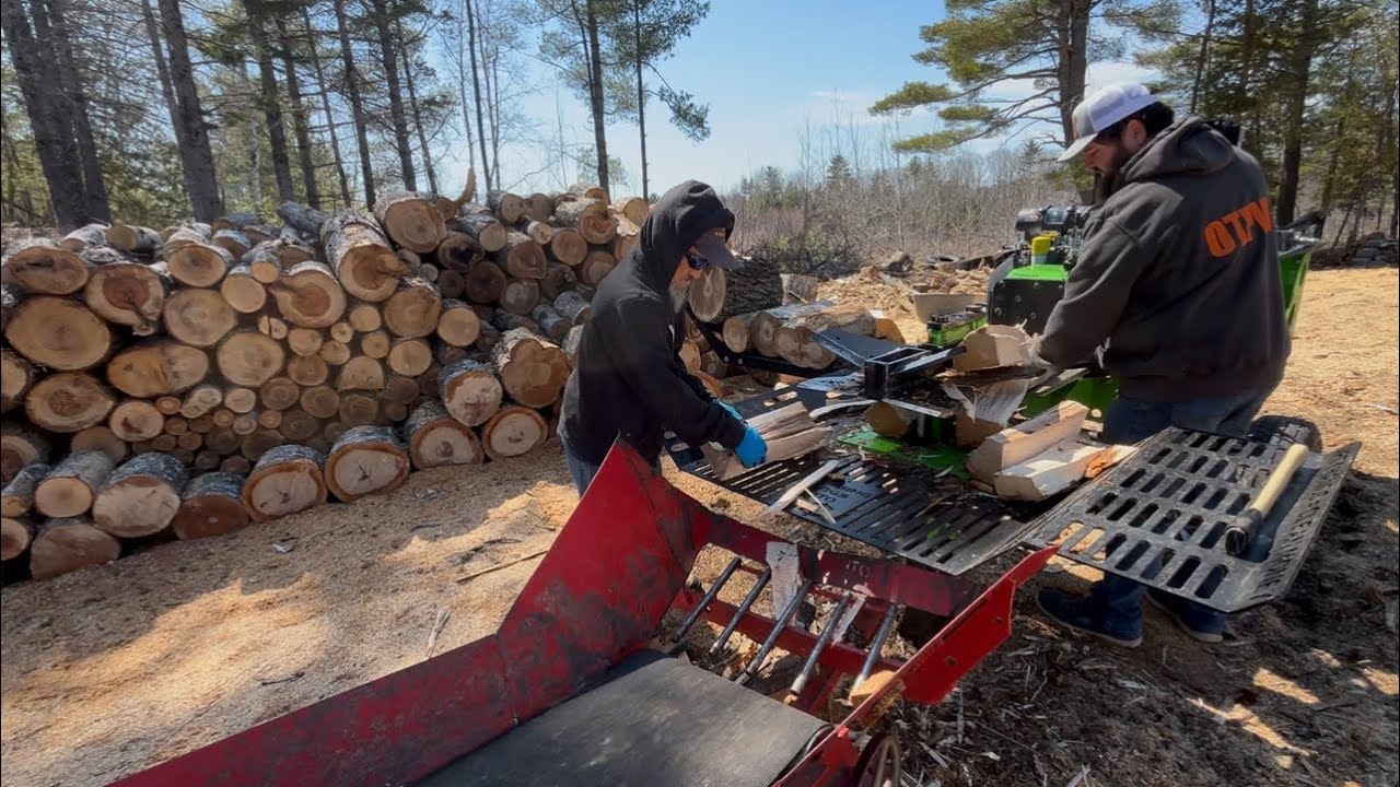 #Allwood Musclewood fast #firewood