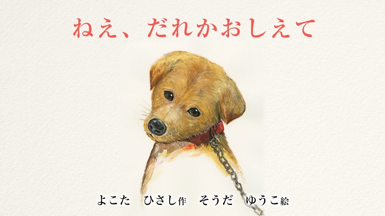 【朗読】 絵本「ねぇ、だれかおしえて」蓜島 教子｜ 1日平均105匹のペットが絵本の犬と同じように暗い部屋の中で、最後まで家族を探しながら、殺傷処分されています。