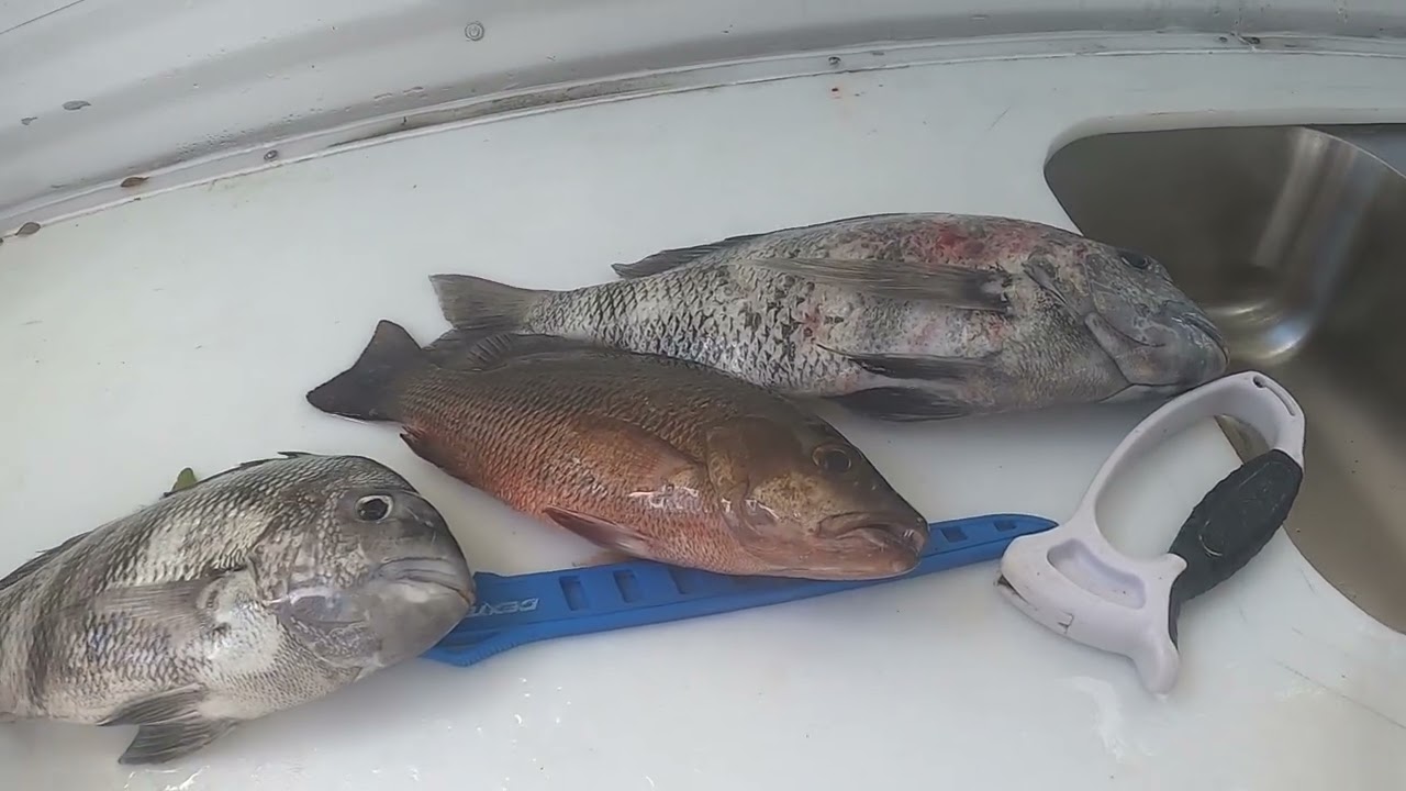 Late February 2026 fishing