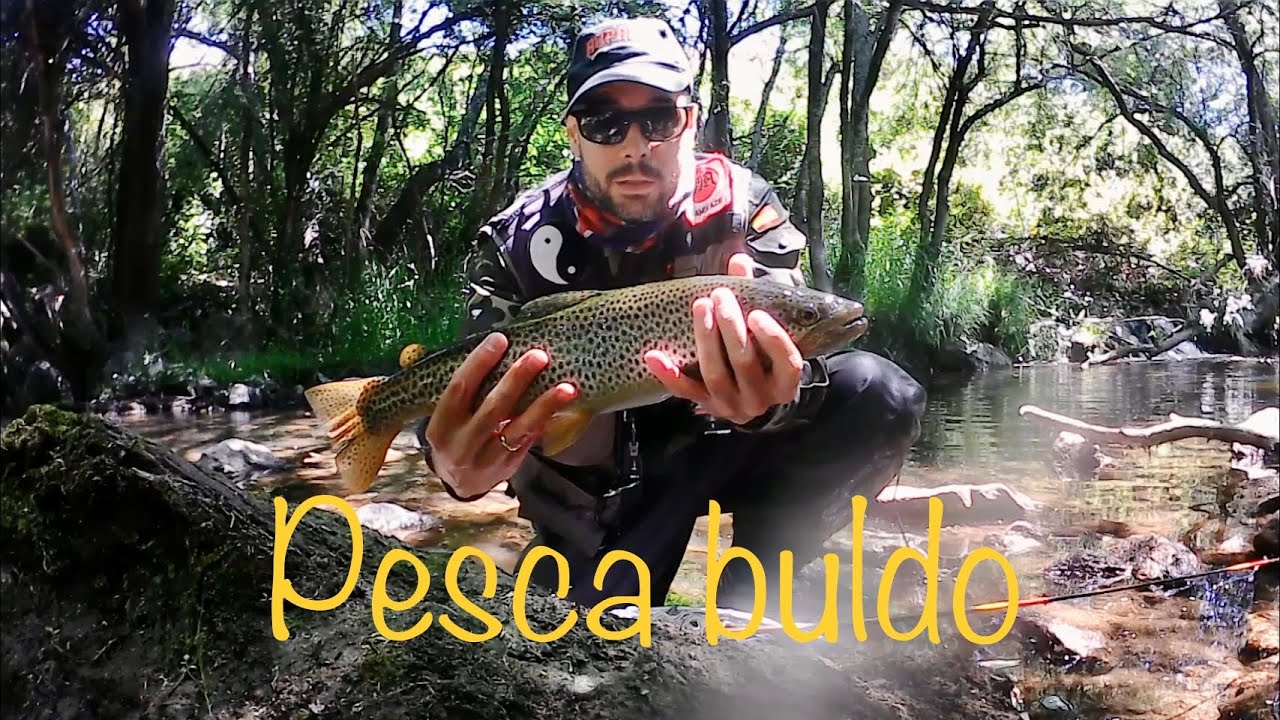 Pesca buldo: truchón