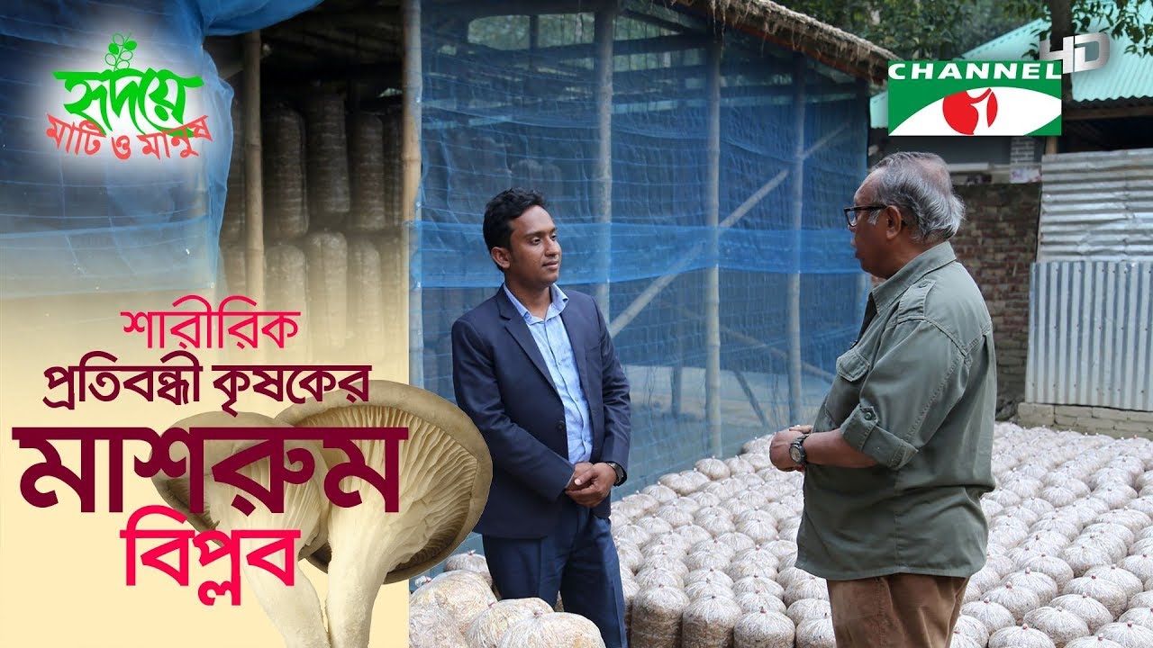 শারীরিক প্রতিবন্ধকতাকে জয় করে বাবুলের মাশরুম বিপ্লব | Mashroom | Shykh Seraj | Channel i |