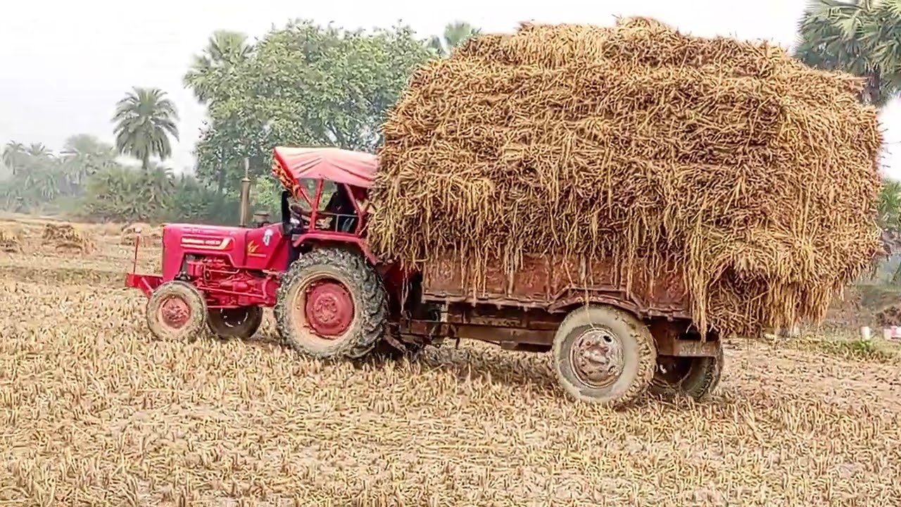 दो बार का मालिक ही बार लोडिंग किया देख उस्ताज और किस तरीका से संभालते हुए मंजिल पर किया