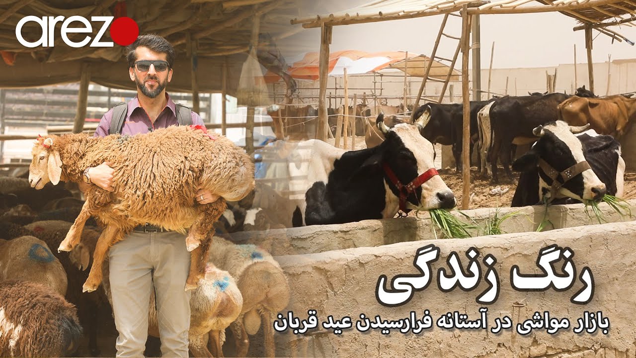 رنگ زندگی - بازار مواشی در آستانه فرارسیدن عید سعید قربان