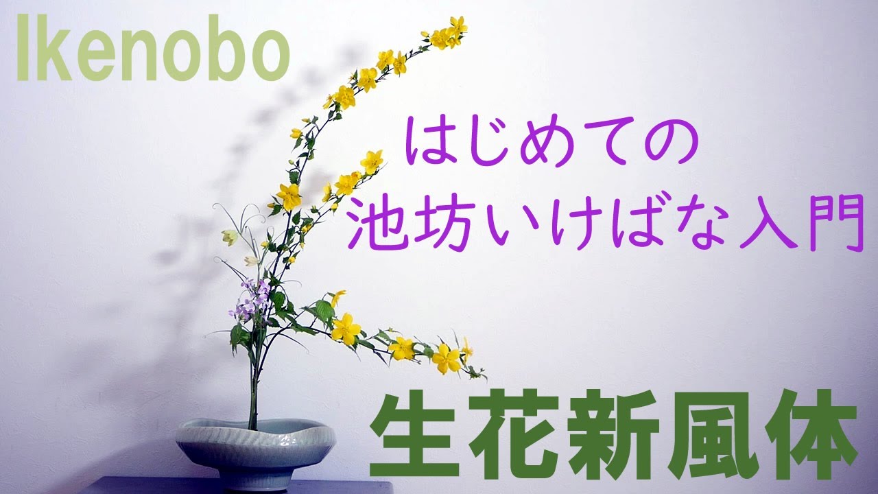 【生け花】池坊・生花新風体【ikebana】いけばなikenobo/shoka /shinputai/Classic style/經典風格/Klassischer Stil/Style/Clasico