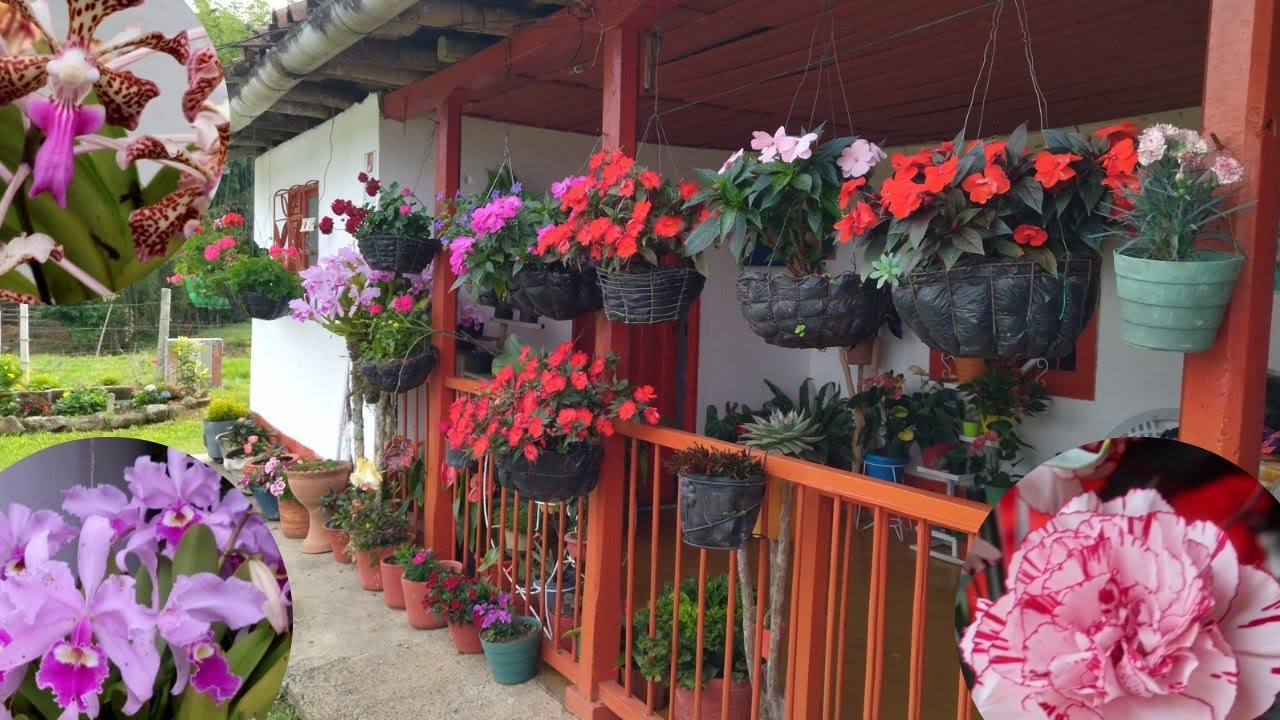 EL JARDÍN DE DOÑA SOCORRO 😍🌹🌷🌸