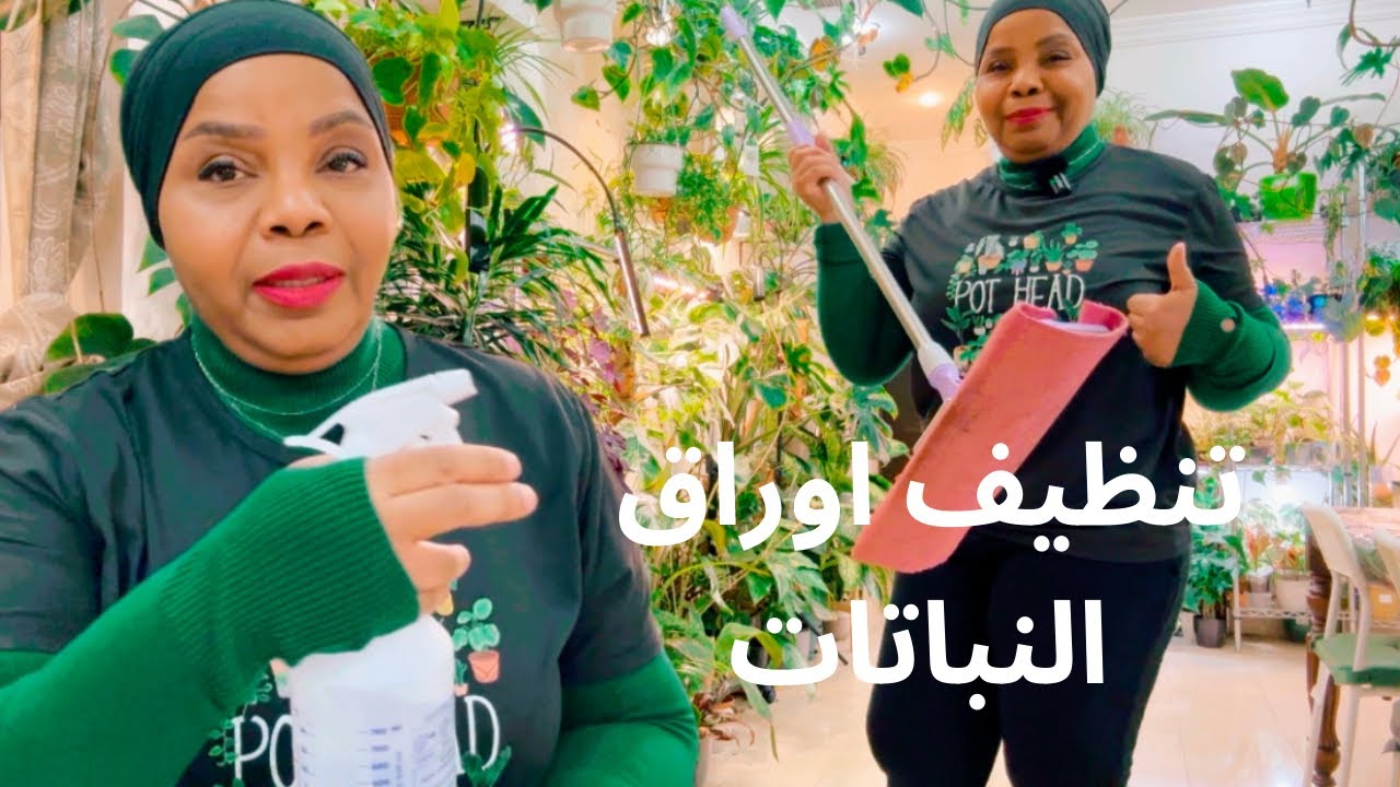 طريقتي في تنظيف اوراق نباتاتي من الغبار