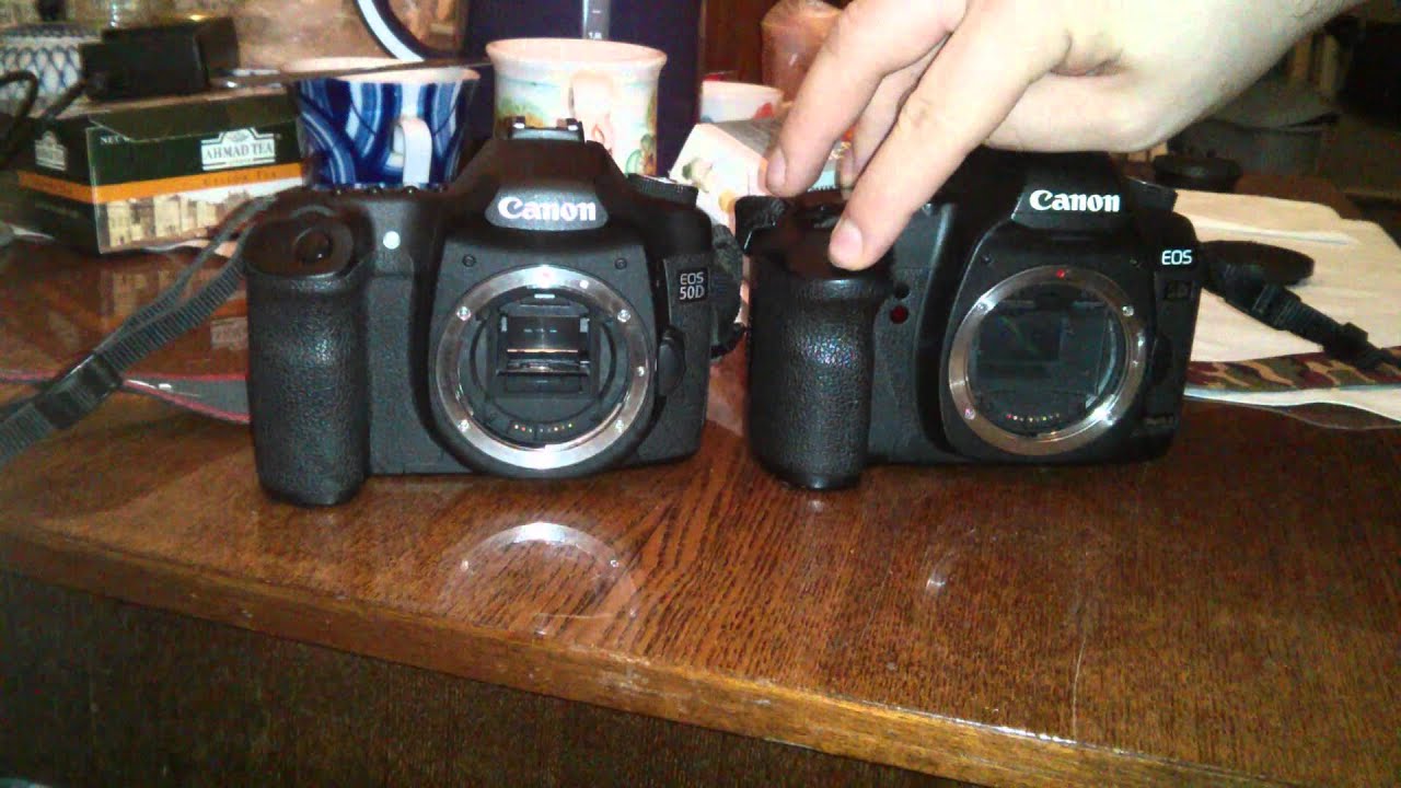 Canon 5d mark II vs Canon 50d