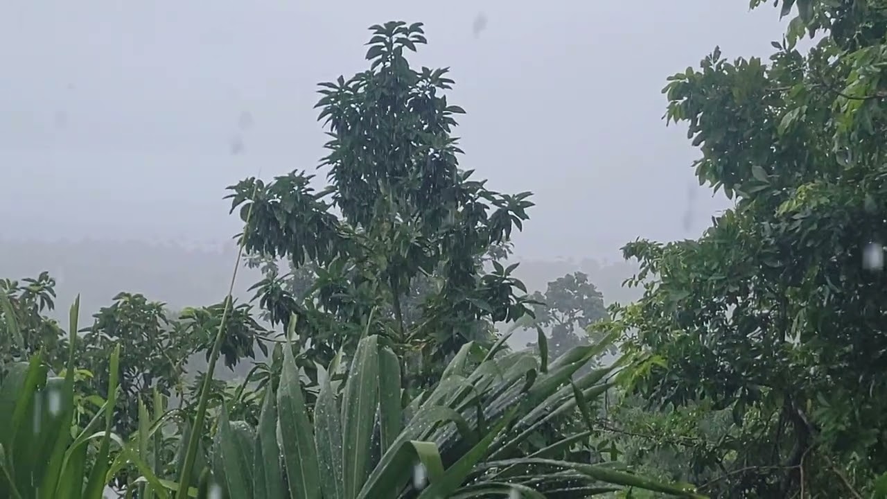 Это видео с дождём, снятое на днях.