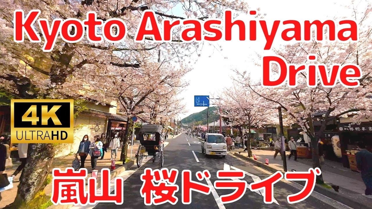 【4K】Kyoto Arashiyama Sakura Drive 🌸 桜の綺麗な季節に京都嵐山をドライブしました