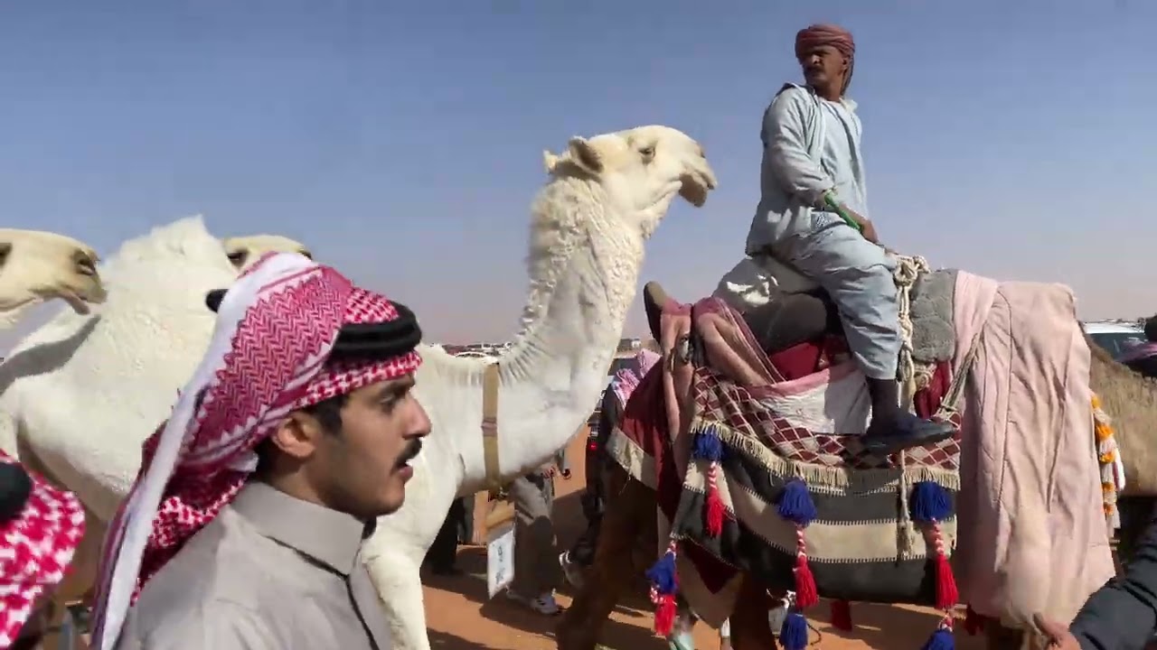 منقية محمد ناصر السلطه العتيبي 