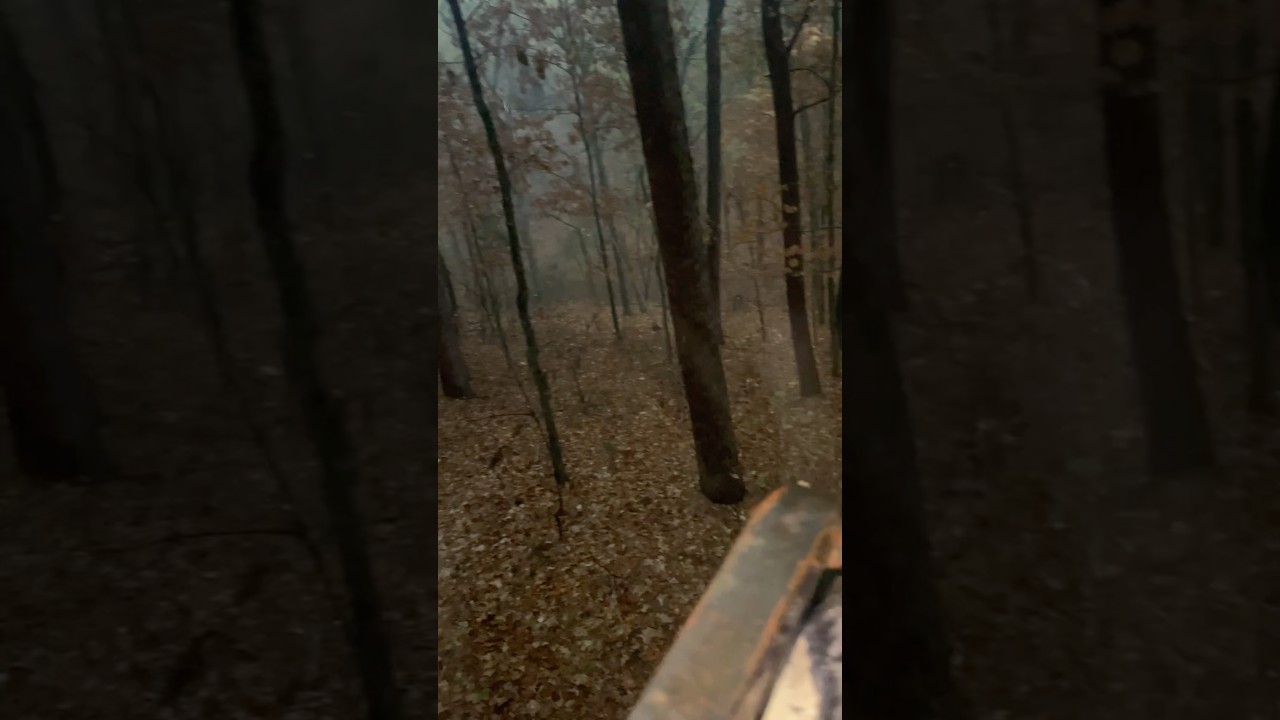 I love rainy night, but I don&rsquo;t like sitting tting in the rain#life #lonebowhunter #youthsession