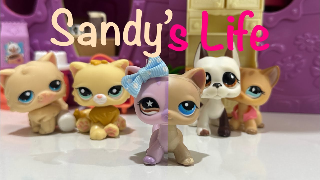 LPS Series: Sandy's Life Part 2 (THE BASEMENT SECRET)