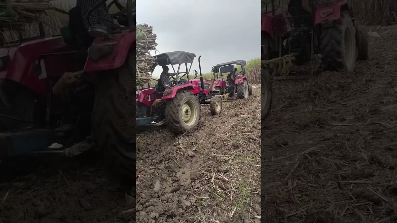 Fasi Hui trolley kese nikale fholl video 