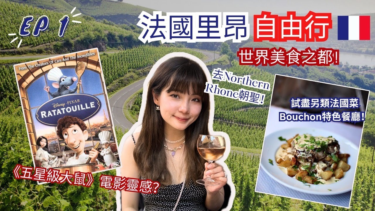 【🇫🇷Lyon Travel EP 1】Wine Tour to Northern Rhone | Anthony Paret & Domaine de Boisseyt