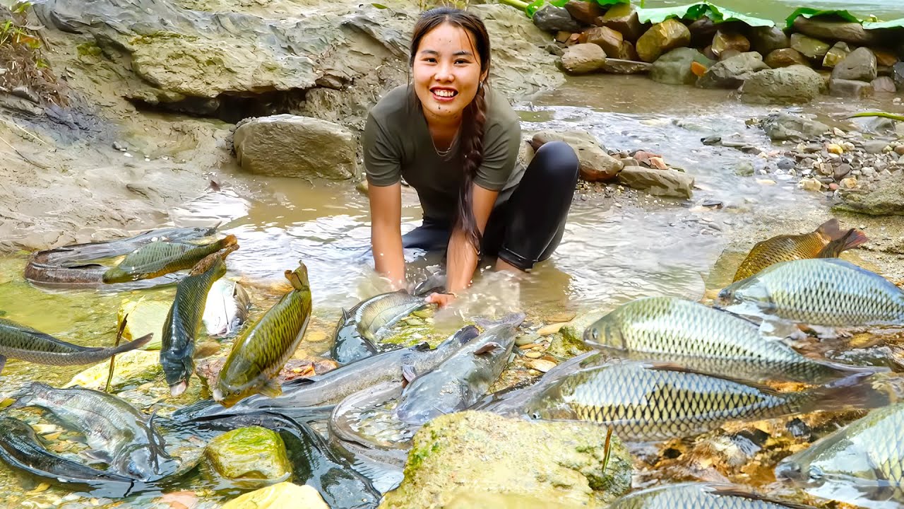 Harvest a Huge Fish Pond full of Giant Catfish by Hand and Bring them to the Market to Sell