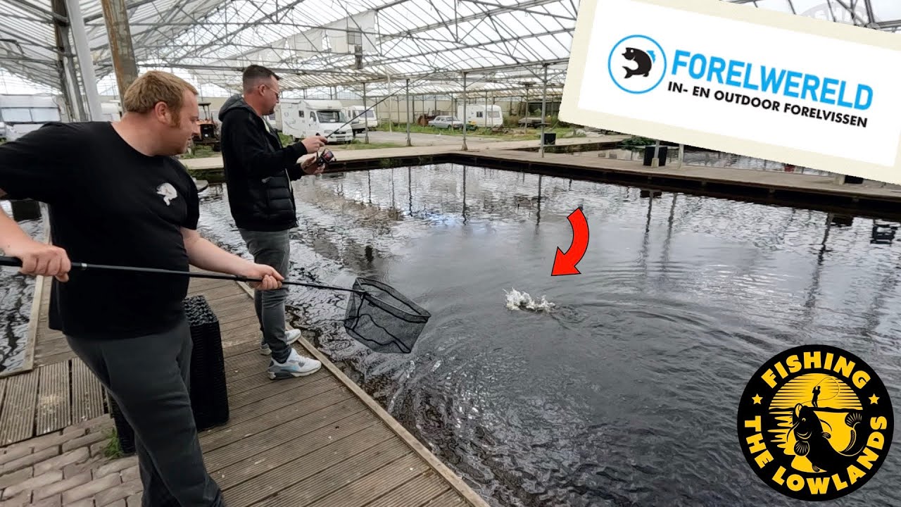 Мир форели. Советы и рекомендации по ловле форели. FishVlog №87.