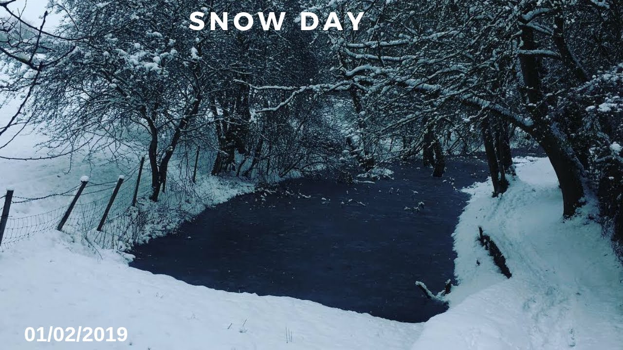 Snow Day Edit (Vlog)