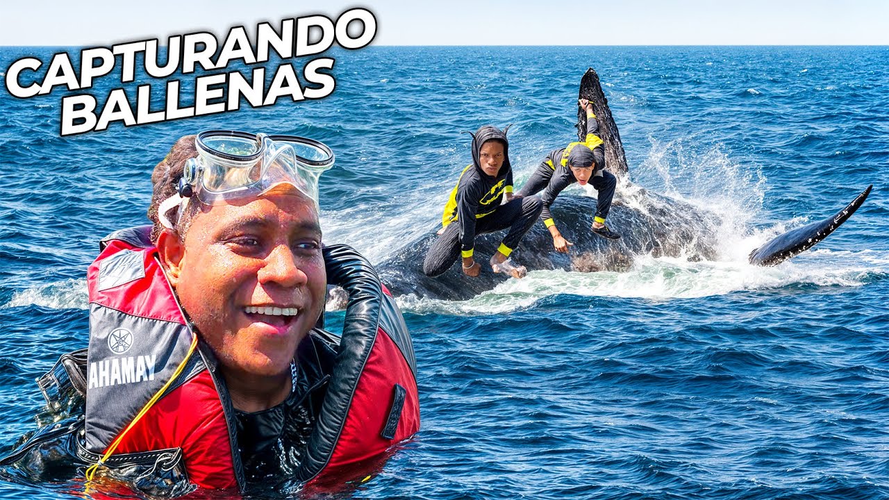 Capturando Ballena en Mar Abierto