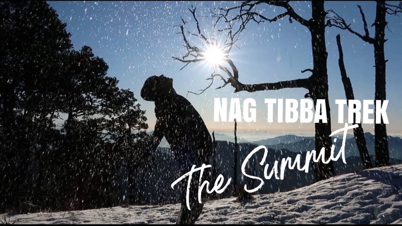 Nag Tibba Trek | The Summit | Final Episode | Roaming Beast