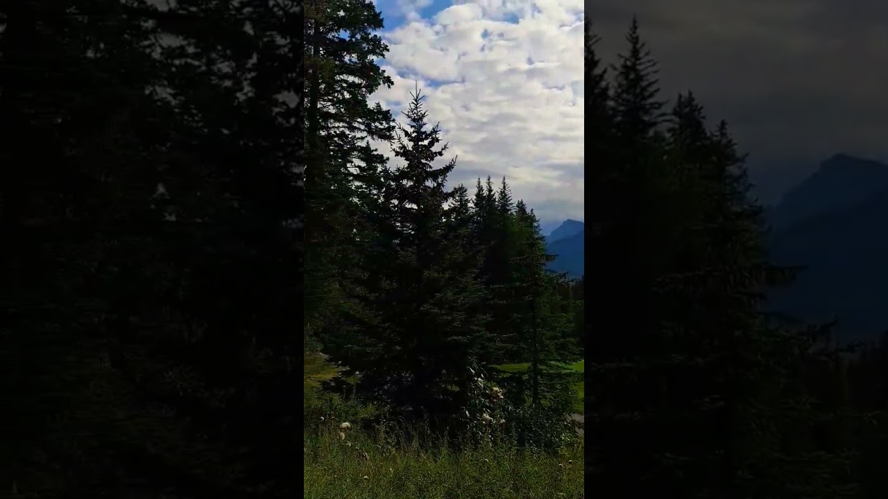Silvertip, Canmore