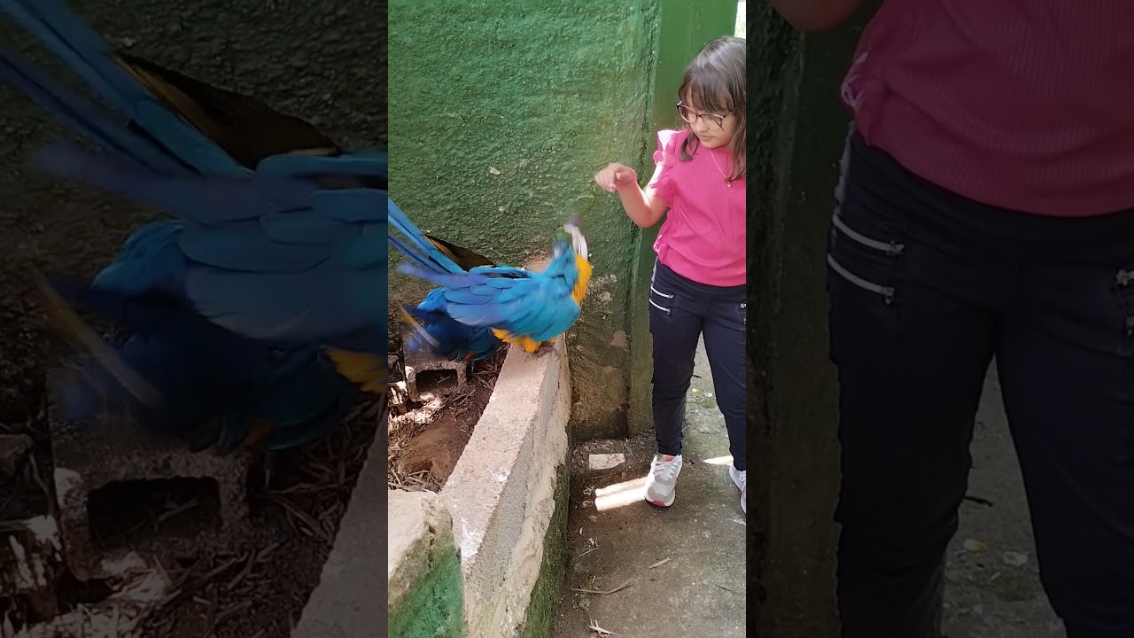 JotaF no ZooPark da Montanha