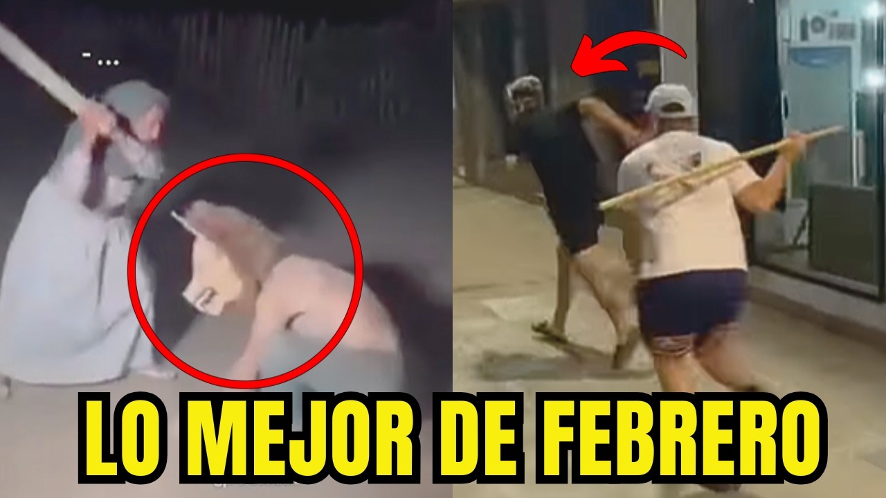 LO MEJOR DE: MANDAN ALV A LOS THERIAN PELICULA COMPLETA