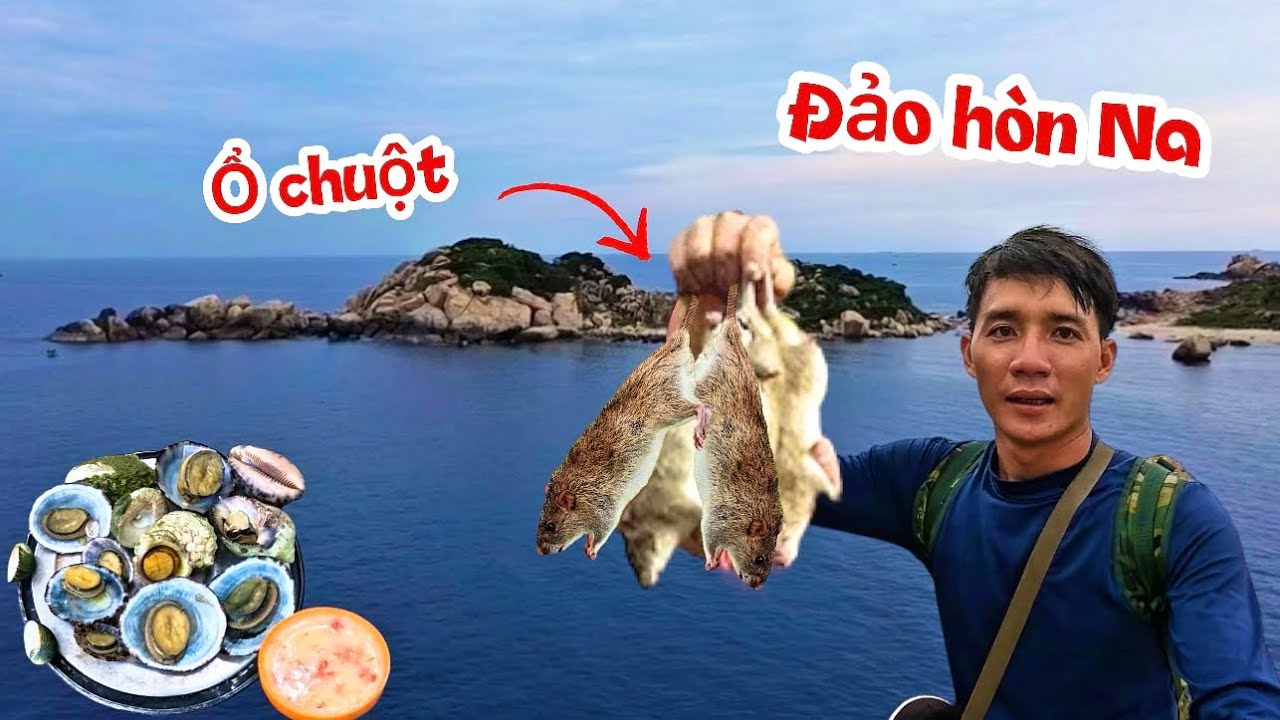 24h trải nghiệm cắm trại trên đảo hòn na gặp ngay ổ chuột núi | 24 hour camping survival