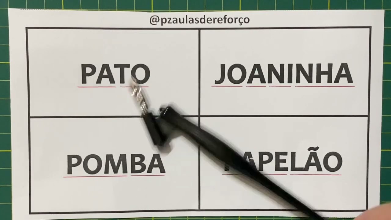 LEIA AGORA AS PALAVRAS: PATO, POMBA, JOANINHA & PAPELÃO.