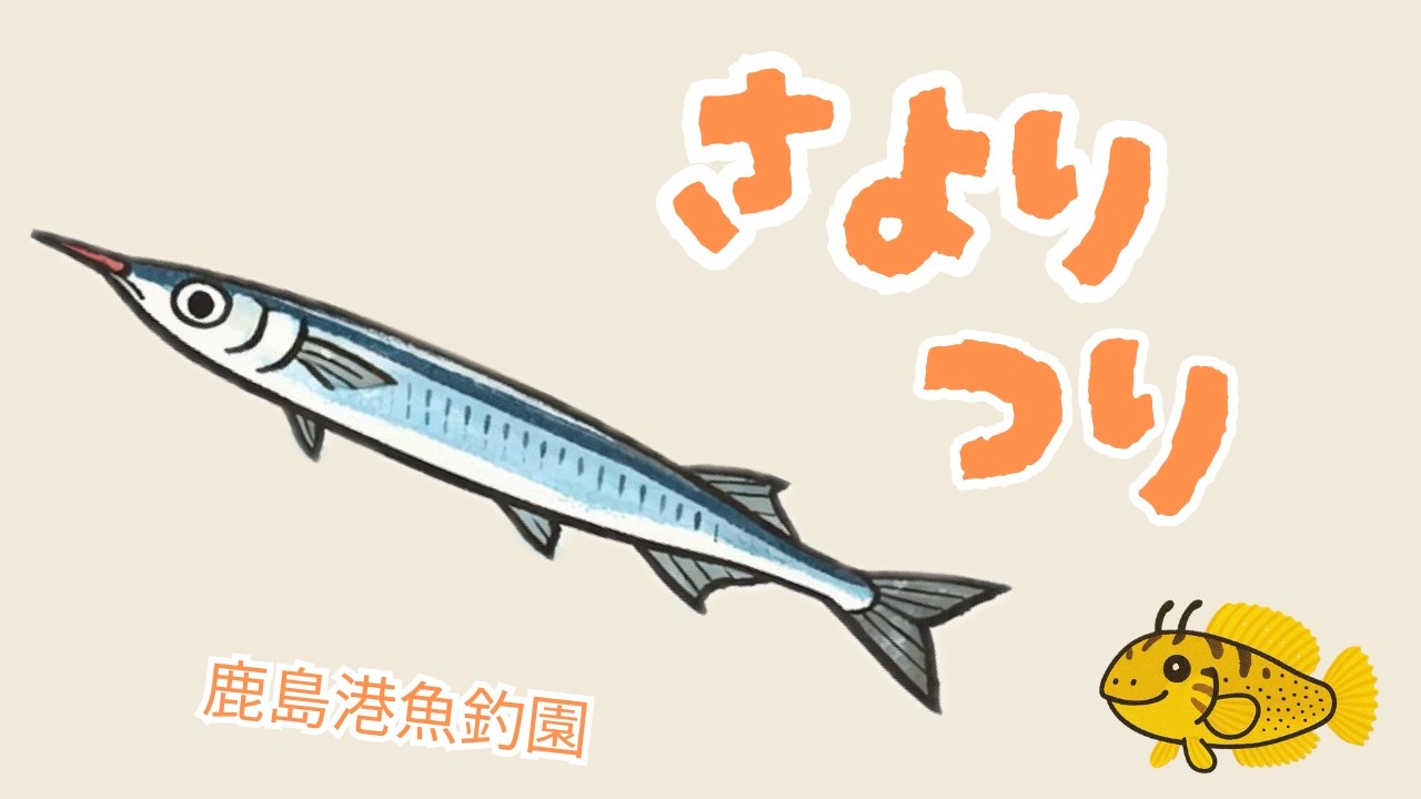 【初撮影】真冬の鹿島港魚釣園でサヨリ釣り