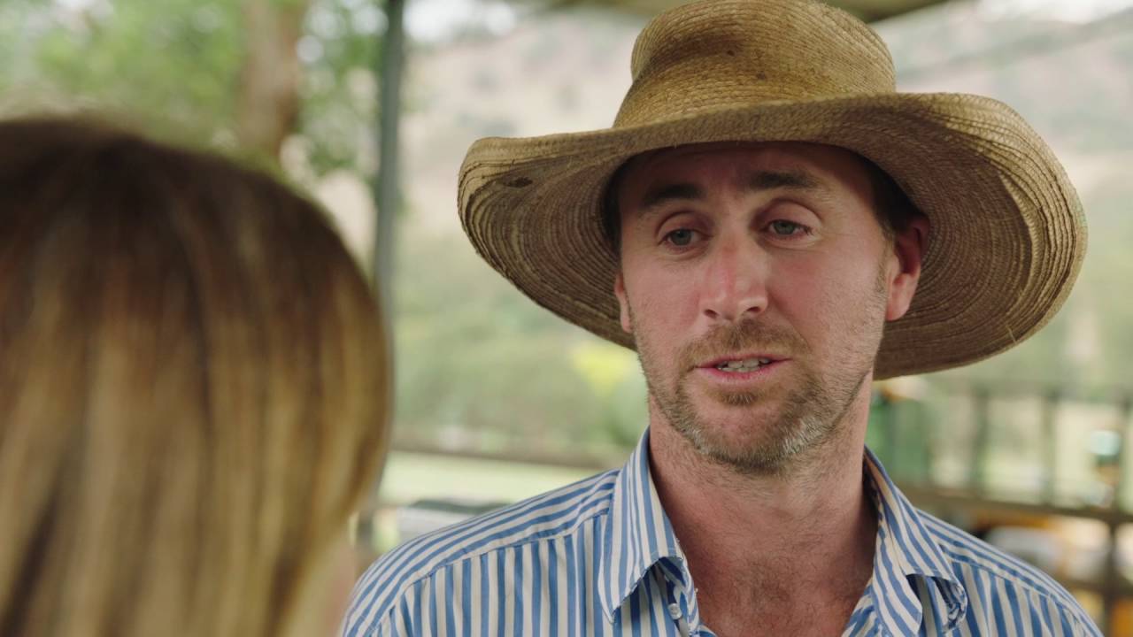 Farm Safety Series: Assessing Stockyard Risks