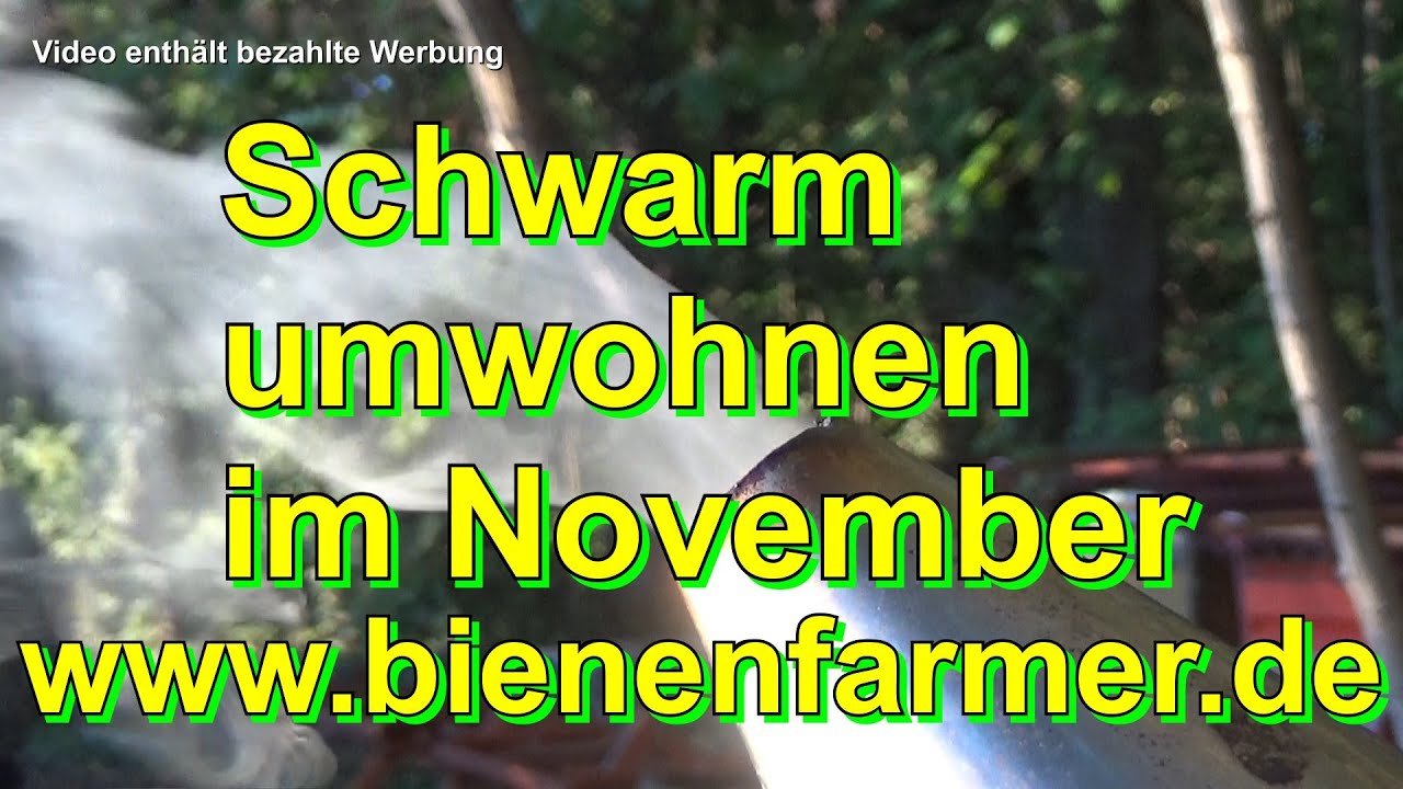 Schwarm umwohnen im November