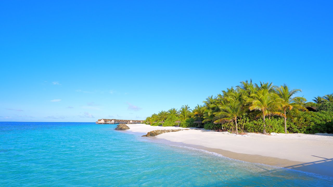 🏝 Paradise Found: Wild Beach and Crystal Ocean Waters. Relaxing Ocean video 4K Ultra HD