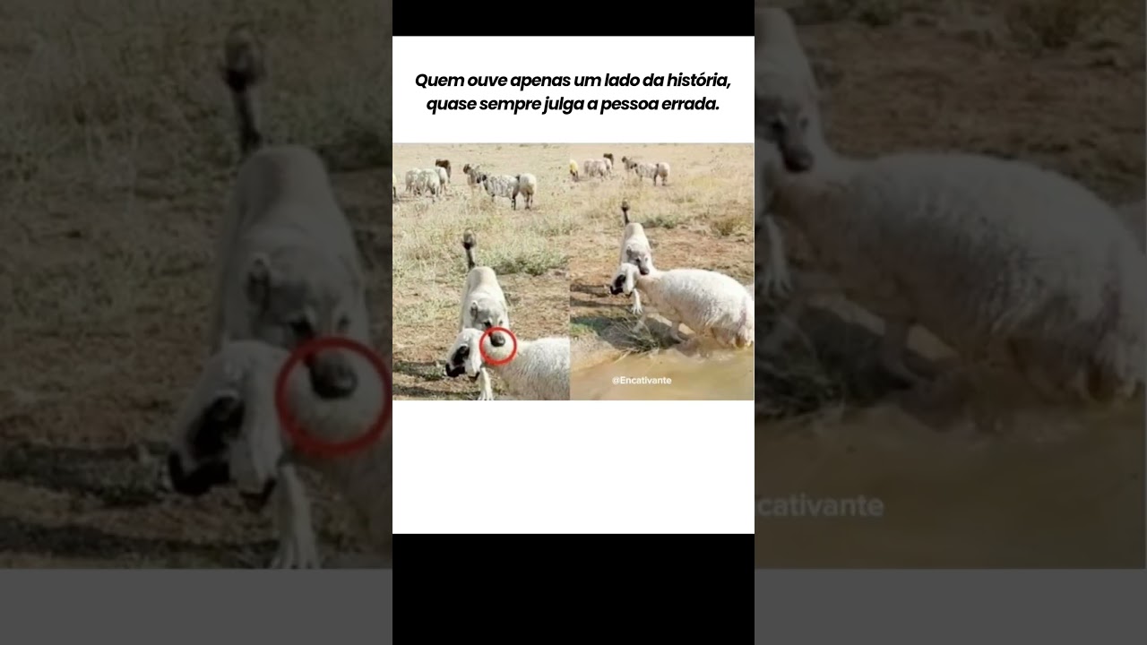 Nem toda hist&oacute;ria mostra a verdade #verdade #palavradedeus #deusdeisrael #palavradedeus #vidacomdeus