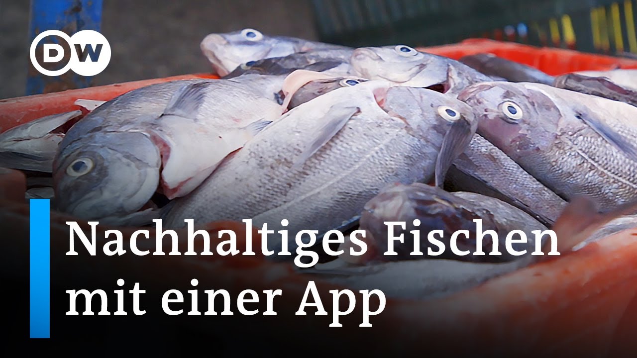 S&uuml;dafrika: Abalobi &ndash; Nachhaltiges Fischen per App | Global Ideas