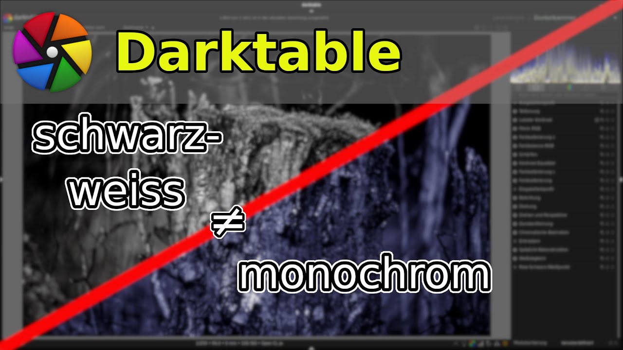 Schwarz-Weiss vs Monochrom, die Unterschiede und was doch gleich ist in Darktable 3.8
