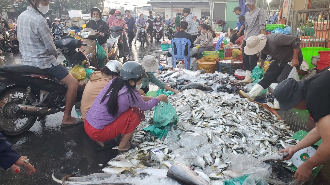 Chợ đầu mối bình điền sáng thứ hai cá biển 25k cá ngát 50k đầu cá 10k 